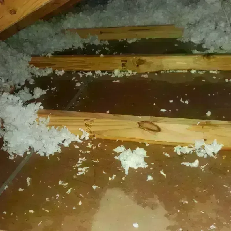 Attic Water Damage in Cumberland County, KY